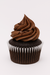 Mini Cupcake - Chocolate - (Pack of 10)