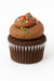 Mini Cupcake - Kids Chocolate - (Pack of 10)