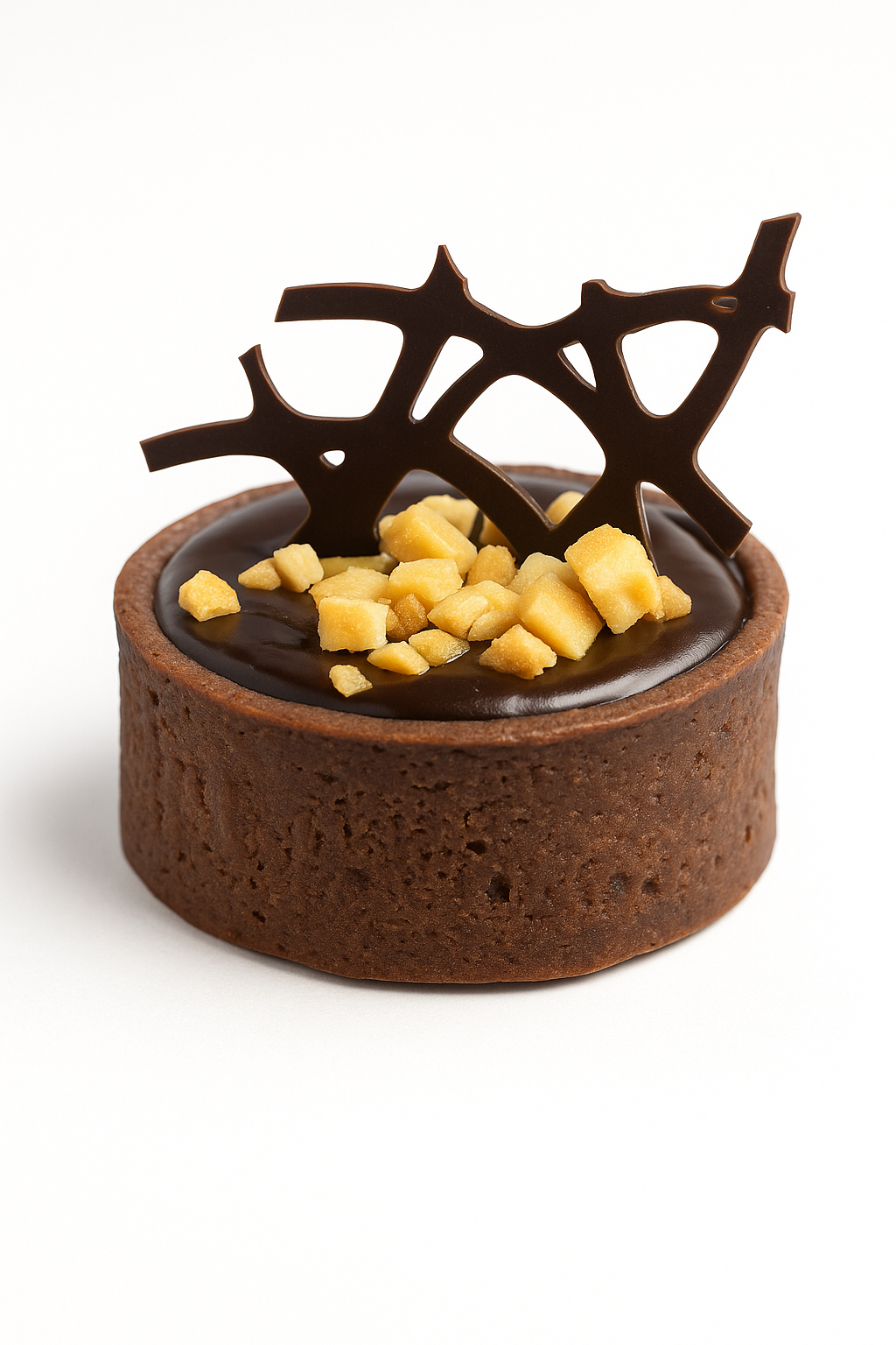 Tart (Mini) - Chocolate & Salted Caramel Peanut - (Pack of 10)