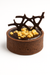 Tart (Mini) - Chocolate & Salted Caramel Peanut - (Pack of 10)